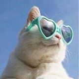 Your Avatar Image
