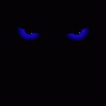 Your Avatar Image