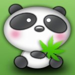 Your Avatar Image