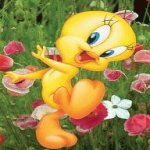 Your Avatar Image