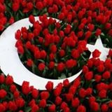 Your Avatar Image