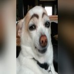 Your Avatar Image