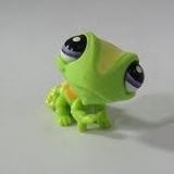 Your Avatar Image