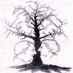 Your Avatar Image