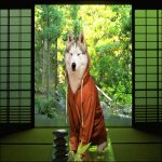 Your Avatar Image