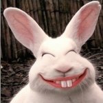 Your Avatar Image