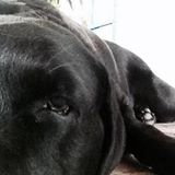 Your Avatar Image