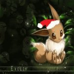 Your Avatar Image