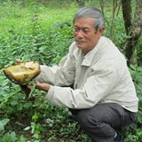 Your Avatar Image