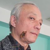 Your Avatar Image