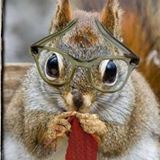 Your Avatar Image