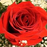 Your Avatar Image