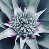 Your Avatar Image
