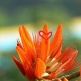 Your Avatar Image