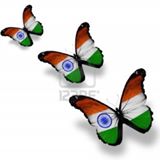 Your Avatar Image