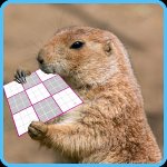 Your Avatar Image